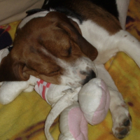 et oui il a son doudou
