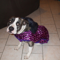 Photo #222973 de Bully