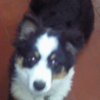 noel_2009_003