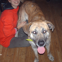 Photo #223039 de Shankar