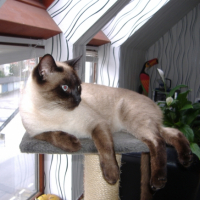 Photo #223053 de Pépito
