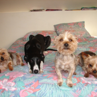 Photo #223075 de Paco