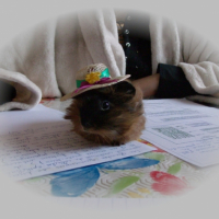Photo #223098 de Ithy