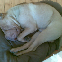 Photo #223099 de Ekine