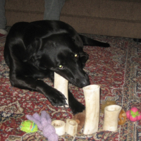 Photo #223164 de Lylie