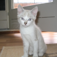 Photo #223166 de Lili