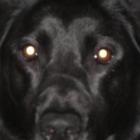 Photo #223167 de Lylie