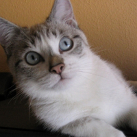Photo #223169 de Lili