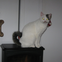 Photo #223183 de Praline