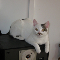 Photo #223196 de Praline