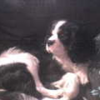 Photo #223304 de Cumbas