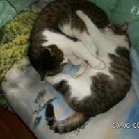Photo #223338 de Neuneuil