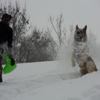 Photo #223353 de Bounty