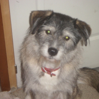 Photo #223424 de Nala 