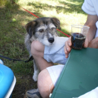 Photo #223429 de Nala 