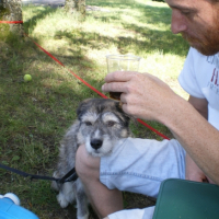 Photo #223431 de Nala 