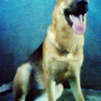 Photo #223464 de Fiona