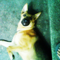 Photo #223466 de Fiona