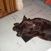 NOEL_2009_028