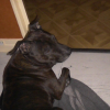 NOEL_2009_077
