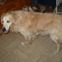 Photo #223524 de Alaska