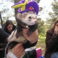 Photo #223650 de Balou