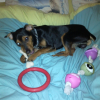 Photo #223680 de Eiko