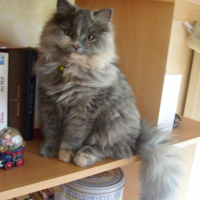 Photo #223752 de Mina