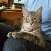 Photo #223755 de Kazu