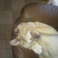 Photo #223793 de Tess