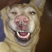 Photo #223795 de Tess