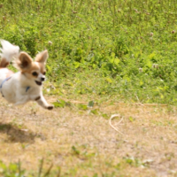 Photo #223801 de Bouba