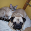Vany et Titeuf