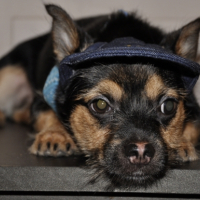 Photo #223854 de Coco (1)