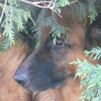 Photo #223905 de R'gé