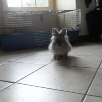 Photo #223969 de Sukie