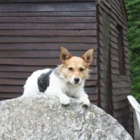 Photo #223971 de Bigoudie