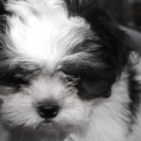 Photo #224036 de Edgard