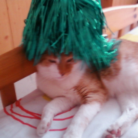 Photo #224080 de Maxou