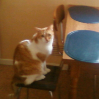 Photo #224081 de Maxou