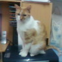 Photo #224082 de Maxou