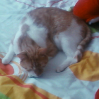 Photo #224083 de Maxou