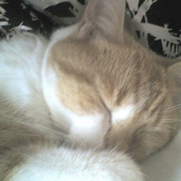 Photo #224084 de Maxou