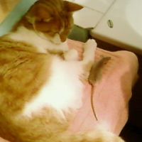 Photo #224086 de Maxou