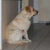 Photo_196