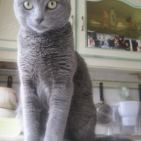 Photo #224217 de Mia