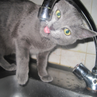 Photo #224221 de Mia