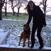 Photo #224228 de Murphy