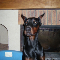 IMGP0021