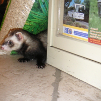 Photo #224323 de Georges
